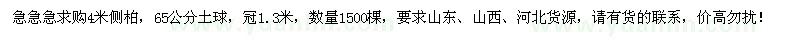 求購4米側(cè)柏