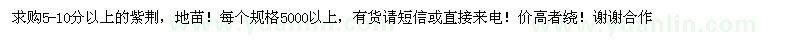 求購紅花紫荊地苗