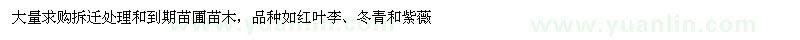 求購紅葉李、冬青、紫薇