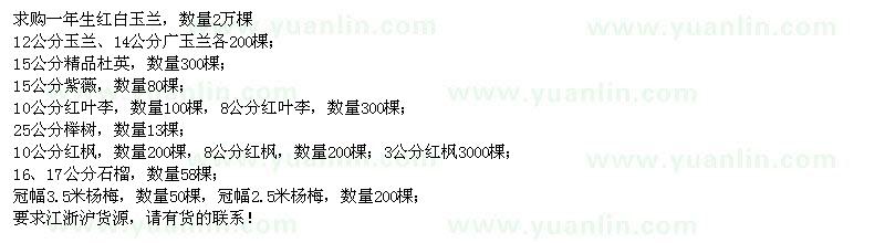 求購一年生紅白玉蘭、廣玉蘭、精品杜英等苗木