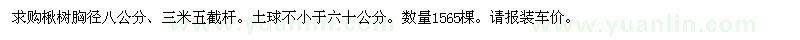 求購八公分楸樹