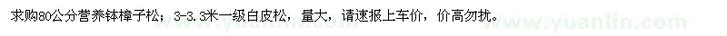 求購樟子松、白皮松