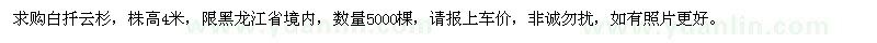 求購高4米白扦云杉