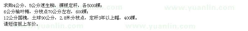 求購速生柳、榆葉梅、國槐
