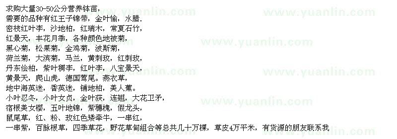 求購30-50公分營養(yǎng)缽苗