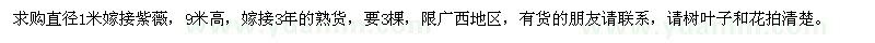 求購直徑1米嫁接紫薇