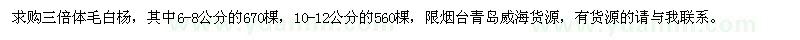 求購(gòu)6-8、10-12公分毛白楊