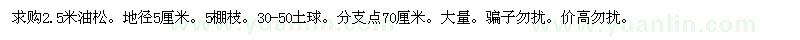 求購(gòu)2.5米油松