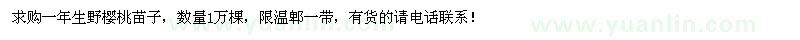 求購(gòu)一年生野櫻桃苗子