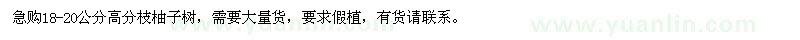 求購高18-20公分柚子樹