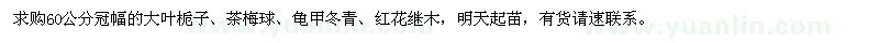 求購(gòu)大葉梔子、茶梅球、龜甲冬青