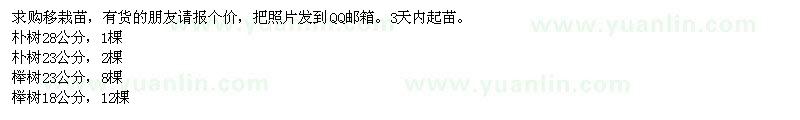 求購(gòu)樸樹、櫸樹