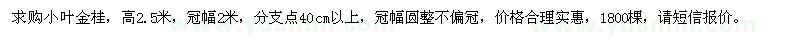 求購高2.5米小葉金桂