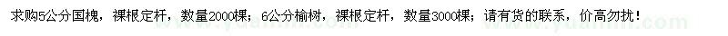 求購5公分國槐、6公分榆樹
