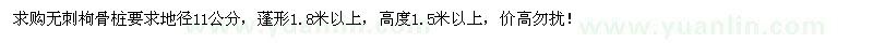 求購地徑11公分無刺枸骨樁