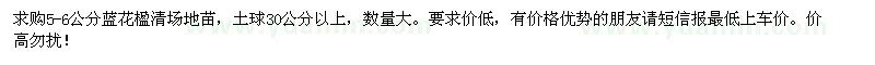 求購5-6公分藍花楹