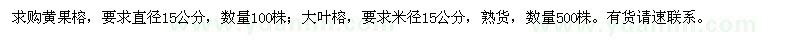 求購直徑15公分黃果榕、大葉榕