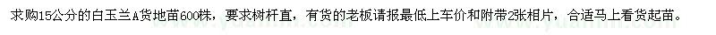 求購(gòu)15公分白玉蘭