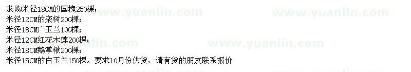 求購(gòu)國(guó)槐、欒樹(shù)、廣玉蘭