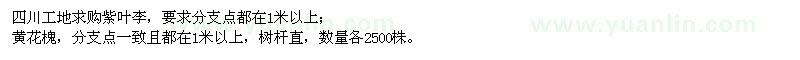 求購(gòu)紫葉李、黃花槐