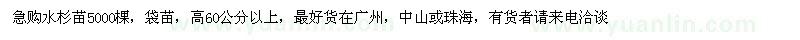 求購(gòu)高60公分以上水杉苗