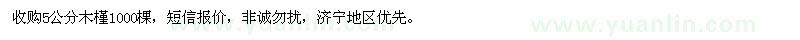 求購5公分木槿