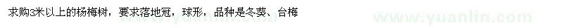 求購3米以上楊梅樹(shù)