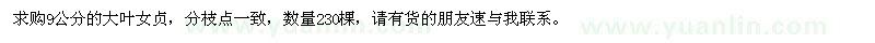 求購9公分大葉女貞