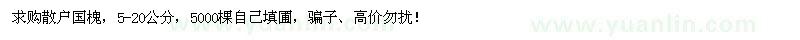 求購5-20公分國槐