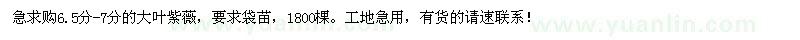 求購6.5-7公分大葉紫薇