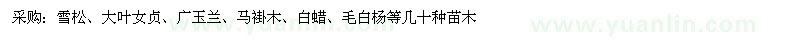 求購雪松、大葉女貞、廣玉蘭