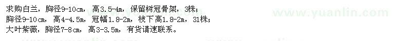 求購白蘭、大葉紫薇