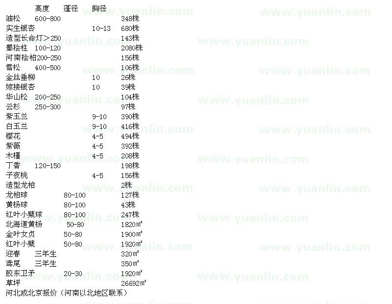 求購(gòu)油松、實(shí)生銀杏、造型長(zhǎng)命燈