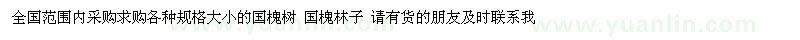 求購(gòu)各種規(guī)格大小國(guó)槐樹(shù)