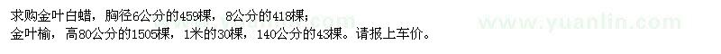 求購(gòu)金葉白蠟、金葉榆