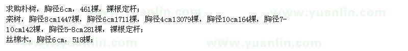 求購樸樹、欒樹、絲棉木