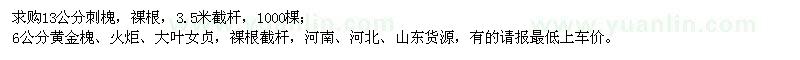 求購(gòu)刺槐、黃金槐、火炬、大葉女貞