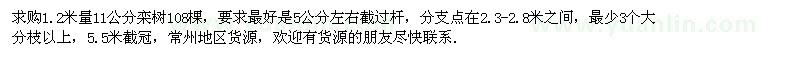 求購1.2米量11公分欒樹