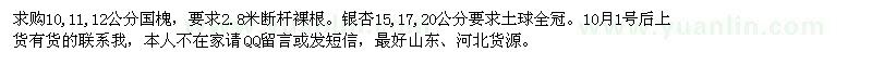 求購國槐、銀杏