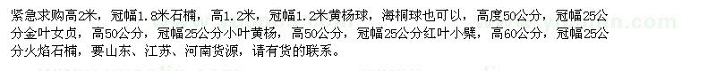 求購(gòu)石楠、黃楊球、金葉女貞、小葉黃楊