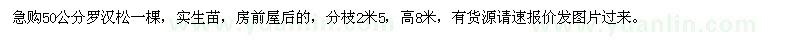 求購50公分羅漢松