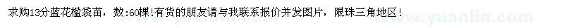 求購(gòu)13公分藍(lán)花楹袋苗
