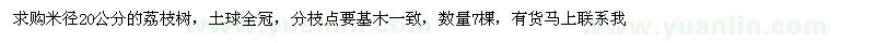 求購米徑20公分荔枝樹