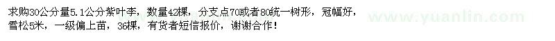 求購紫葉李、雪松