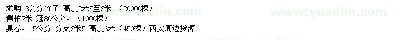 求購竹子、側(cè)柏、臭椿 