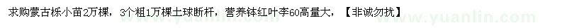 求購蒙古櫟小苗、營養(yǎng)缽紅葉李 