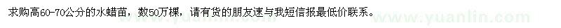 求購(gòu)高60-70公分水蠟苗