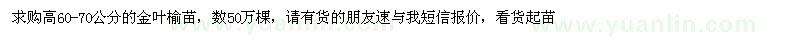 求購(gòu)高60-70公分金葉榆苗