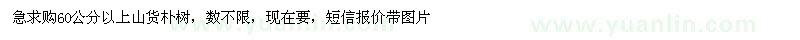 求購(gòu)60公分以上山貨樸樹(shù)