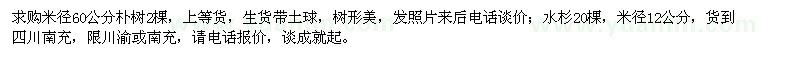 求購米徑60公分樸樹